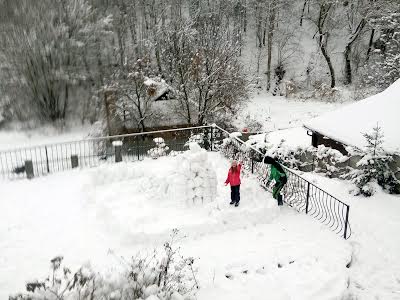 дом по адресу Суворова ул., 6