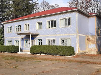 комерційна за адресою Незалежності вул., 228