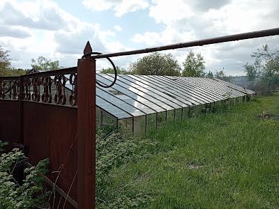 ділянка за адресою с. Миколаївка, 