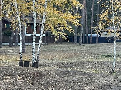 ділянка за адресою с. Романків, Сосновий Бір вул.