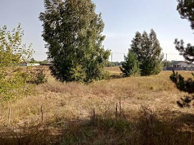 ділянка за адресою с. Рожни, вул. Лугова