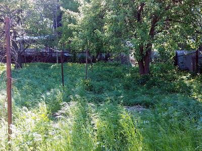 будинок за адресою Писарева вул., 38
