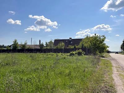 ділянка за адресою Виноградна