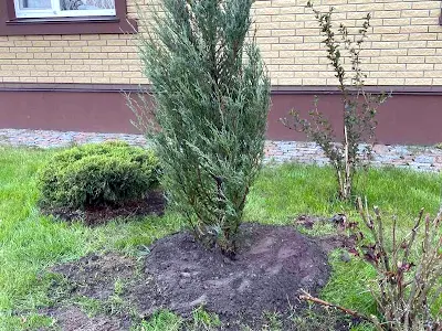 будинок за адресою Волошкова, 27