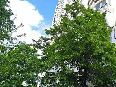 квартира за адресою Андрія Малишка вул., 23