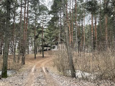 будинок за адресою центральна