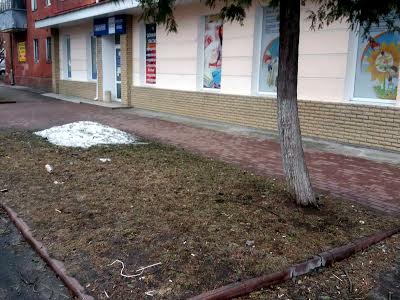 коммерческая по адресу Чернигов, Лётная ул. (Красногвардейская), 17
