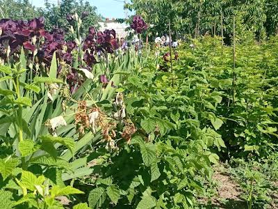 будинок за адресою  Хлібодарське, Ротмистрова