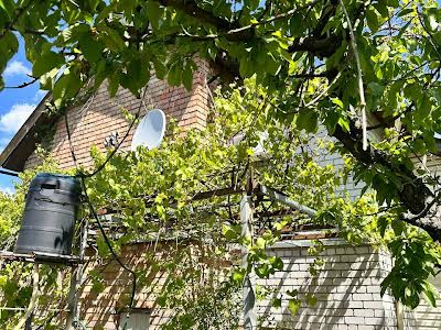 будинок за адресою с. Новоселівка, Виноградная