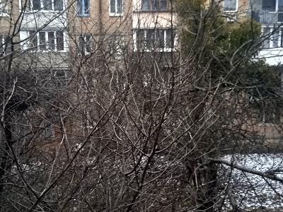 квартира за адресою Академіка Білецького вул., 5А