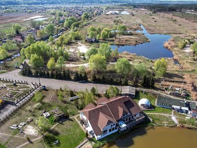 будинок за адресою с. Нові Безрадичі, Дрімленд