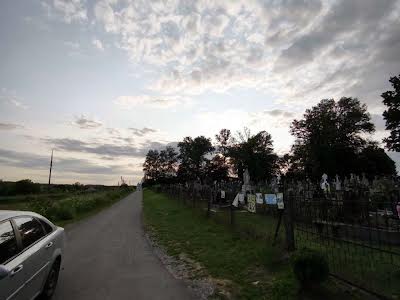 ділянка за адресою с. Поршна, Шевченка