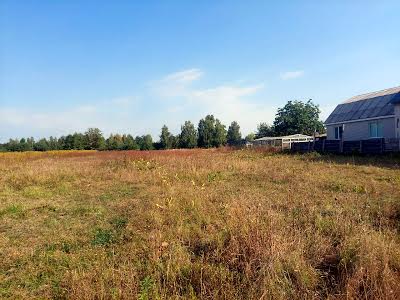 участок по адресу с. Олиевка, Вишпільська