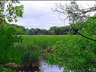 будинок за адресою Карпатської Січі вул. (Гвардійська), 36