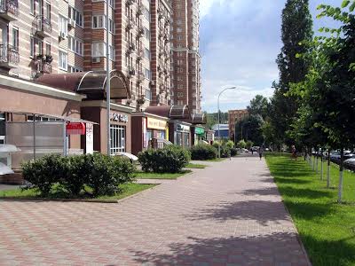 квартира за адресою Голосіївська вул., 13