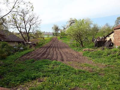 ділянка за адресою центральна, 20