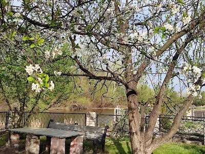 дом по адресу Казахский пер.