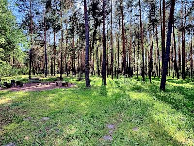 будинок за адресою французська, 1