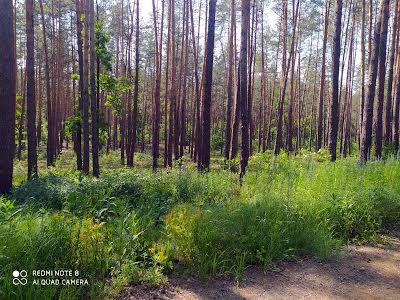 участок по адресу Лісова