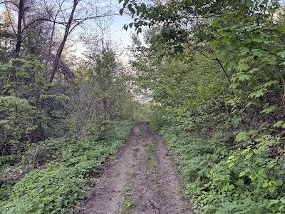 ділянка за адресою с. Стайки, Незалежності