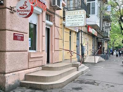 комерційна за адресою Пантелеймонівська вул., 101