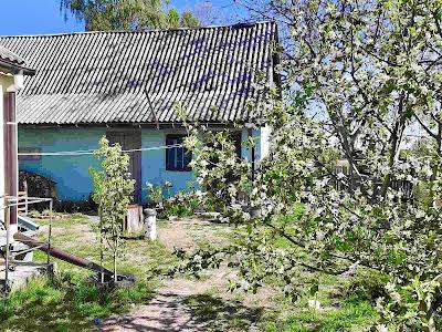 будинок за адресою Миколи Петровського вул., 59