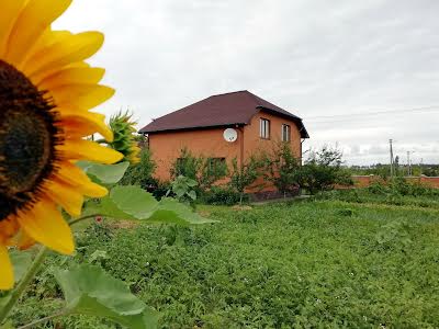 дом по адресу пгт. Брусилов, Місячна