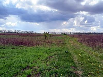 ділянка за адресою с. Агрономічне, 