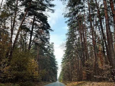 будинок за адресою с. Лютіж, Визволителів