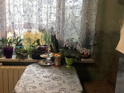комната по адресу Оболонский просп., 16-е