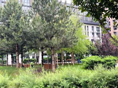 квартира за адресою Салютна вул., 2к6