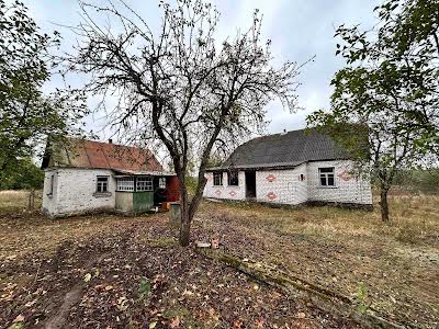 дом по адресу Центральна, 1
