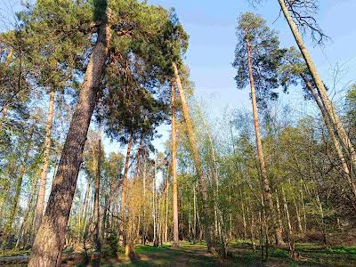 будинок за адресою Київ, Жовтнева вул., 1