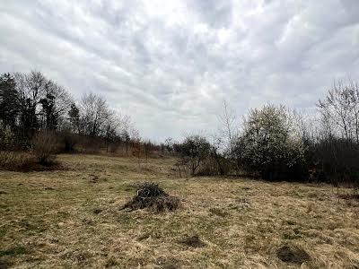 участок по адресу запасіка, 19