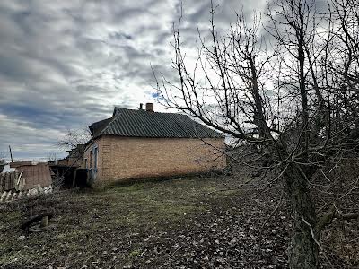 будинок за адресою с. Шевченкове, Братів Тобілевичів