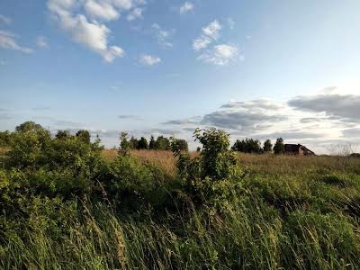 ділянка за адресою шевченка