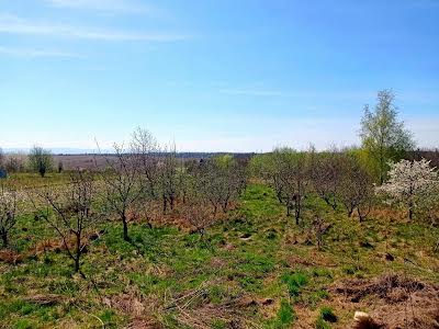 дом по адресу с. Колодиевка, Лесі Українки, 33