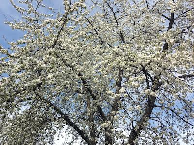 будинок за адресою Хутірська вул. (Чапаєва)