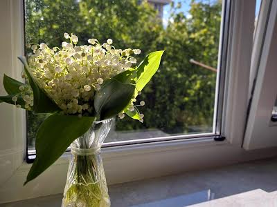 квартира за адресою Городоцька вул., 241б