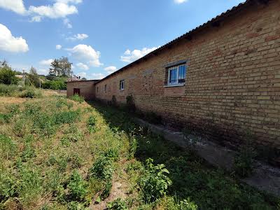 комерційна за адресою с. Городок, вул. Колгоспна, 22б