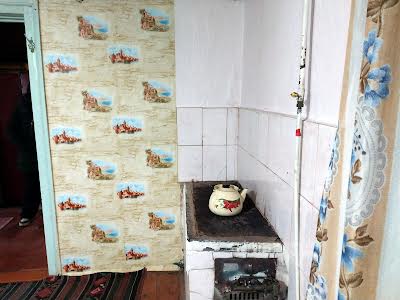 будинок за адресою Чигирі село, 4