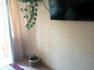 квартира по адресу Академика Доброхотова ул., 8