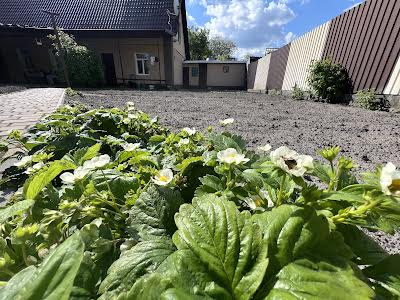 дом по адресу Юрія Мушкетика ул. (Натана Рыбака)