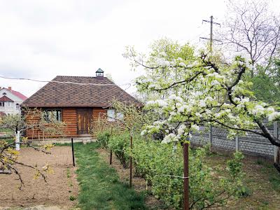 будинок за адресою с. Святопетрівське, Героїв Дніпра вул.