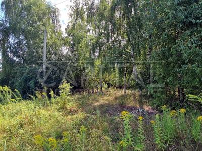 ділянка за адресою Вербицького, 1