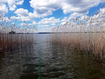 дом по адресу центральна, 17