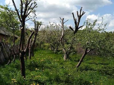 будинок за адресою Михайла Грушевського вул.