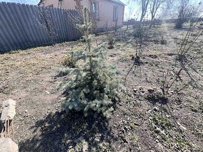 дом по адресу с. Яблоневое, Ранкова, 13