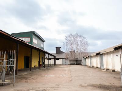 комерційна за адресою Шевченка, 1