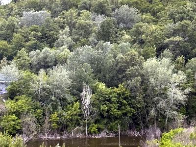 квартира за адресою Кирилівська вул. (Фрунзе), 37-А